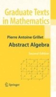Abstract Algebra (inbunden)