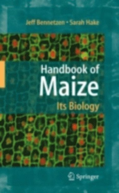 Handbook of Maize: Its Biology (e-bok)