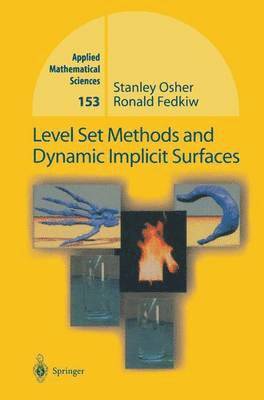 Level Set Methods and Dynamic Implicit Surfaces (inbunden)