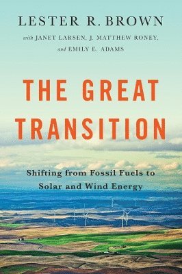 Great Transition (häftad)
