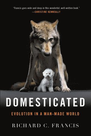Domesticated (hftad)