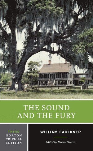 Sound and the Fury (häftad)