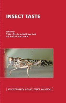 Insect Taste (hftad)