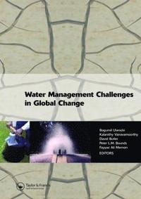 Water Management Challenges in Global Change (inbunden)