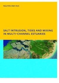 Salt Intrusion, Tides and Mixing in Multi-Channel Estuaries (hftad)