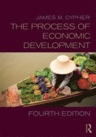 The Process of Economic Development (häftad)
