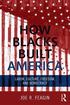 How Blacks Built America