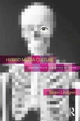 Hybrid Media Culture (inbunden)