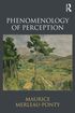 Phenomenology of Perception