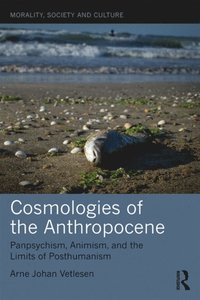 Cosmologies of the Anthropocene (e-bok)