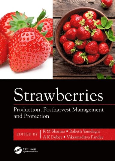 Strawberries (e-bok)