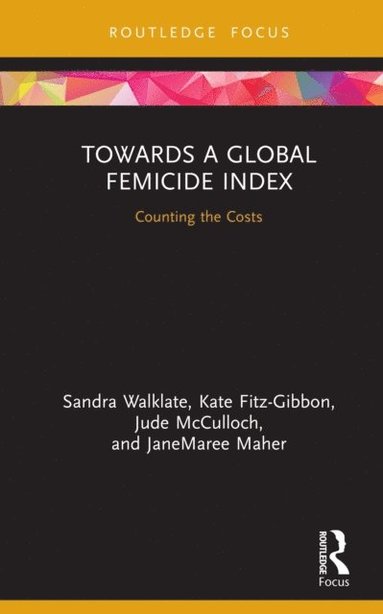 Towards a Global Femicide Index (e-bok)