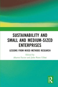 Sustainability and Small and Medium-sized Enterprises (e-bok)