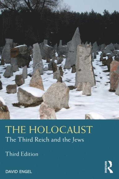 The Holocaust (e-bok)