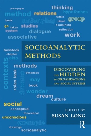 Socioanalytic Methods (e-bok)