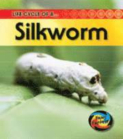 Life Cycle of a Silkworm (hftad)