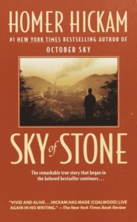 Sky of Stone (e-bok)
