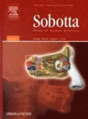 Sobotta Atlas of Human Anatomy Volume 1, 14th Edition: Head, Neck, Upper Limb (häftad)