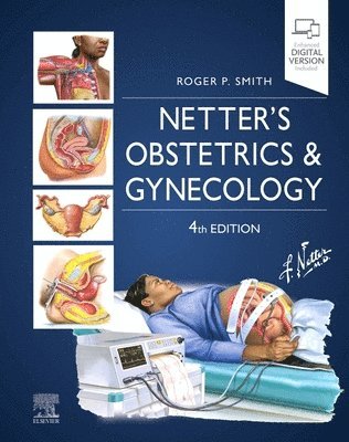 Netter's Obstetrics and Gynecology (häftad)