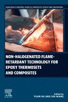 Non-halogenated Flame-Retardant Technology for Epoxy Thermosets and Composites (inbunden)