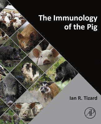 The Immunology of the Pig (h�ftad)