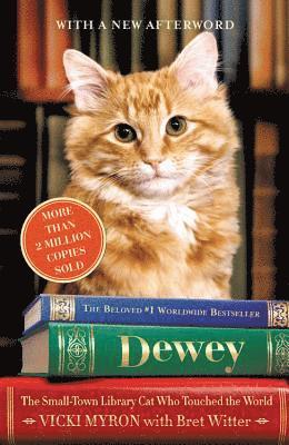 Dewey (Large Print Edition) (h�ftad)