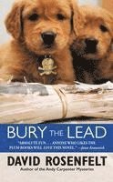 Bury The Lead (hftad)