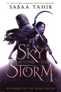Sky Beyond The Storm (inbunden)