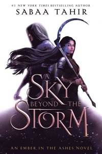 Sky Beyond the Storm (e-bok)