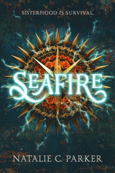 Seafire (e-bok)