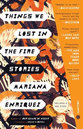 Things We Lost in the Fire: Stories (hftad)