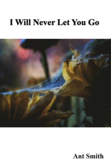 I Will Never Let You Go (häftad)