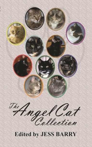 Angel Cat Collection (häftad)