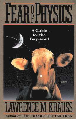 Fear of Physics: A Guide for the Perplexed (h�ftad)