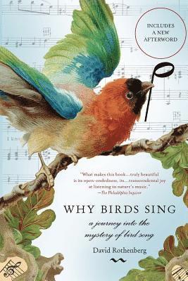Why Birds Sing (inbunden)