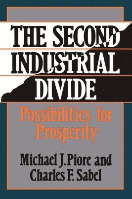 Second Industrial Divide (inbunden)