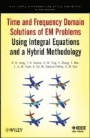 Time and Frequency Domain Solutions of EM Problems (inbunden)