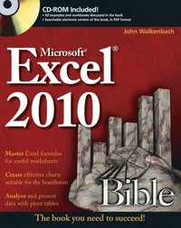 Excel 2010 Bible (e-bok)
