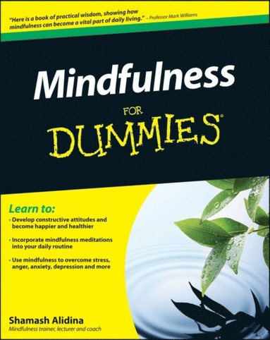Mindfulness For Dummies (häftad)