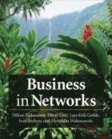 Business in Networks (häftad)