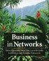 Business in Networks