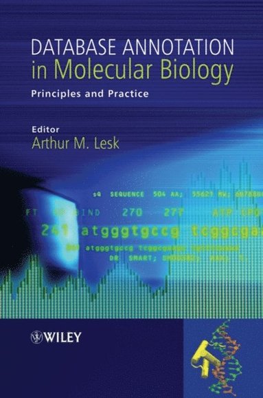 Database Annotation in Molecular Biology (häftad)