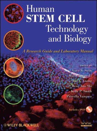 Human Stem Cell Technology and Biology (inbunden)