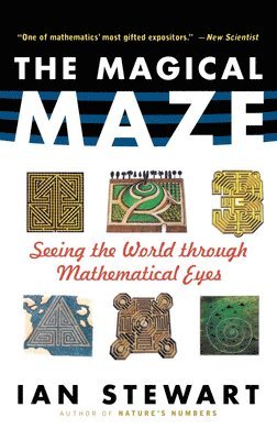 The Magical Maze: Seeing the World Through Mathematical Eyes (hftad)