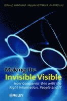 Making the Invisible Visible (inbunden)