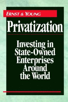 Privatization (inbunden)