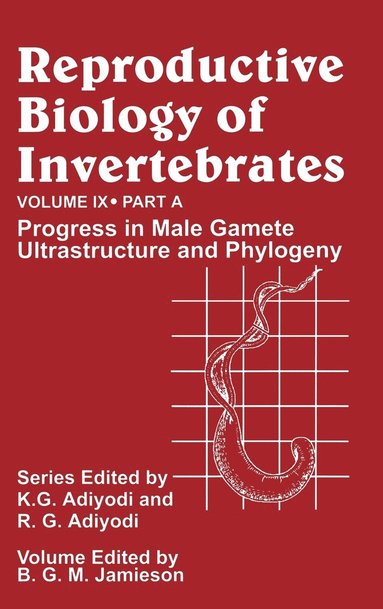 Reproductive Biology of Invertebrates, Progress in Male Gamete Ultrastructure and Phylogeny (inbunden)