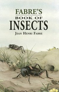 Fabre'S Book of Insects (hftad)