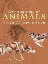Art Anatomy of Animals (hftad)