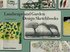 Landscape and Garden Design Sketchbooks